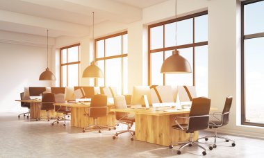 Güneş ışığı ile Office coworking