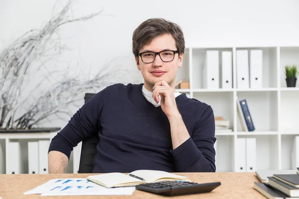 Schöner Buchhalter bei der Arbeit — Stockfoto