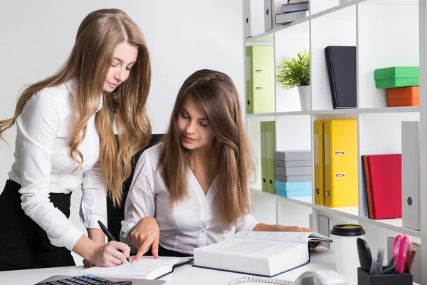 Two cooperating young ladies — Stock Photo, Image