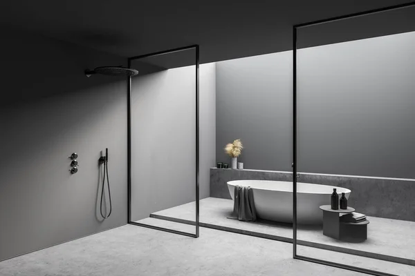 Corner Stylish Bathroom Gray Walls Floor Comfortable Bathtub Shower Stall — Stock Photo, Image