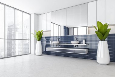 Köşesinde iki lavabo ve bitki olan beyaz ve mavi banyo, yan görüş. Mavi renkli jel ve çekmeceli lavabo, minimalist banyo mermer döşemeli, 3D, insan yok.