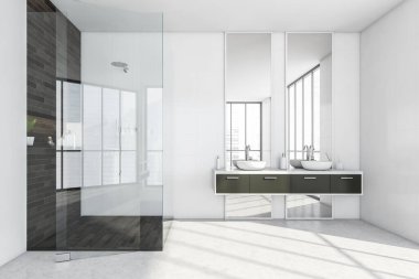 Cam duşlu banyo ve çekmeceli iki lavabo, büyük aynalar. Minimalist, hafif, lüks iç mekan, 3D, insan yok.