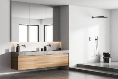 Modern klasik banyo, taştan çift lavabo ve duş, minimal açık gri iç tasarım. 3d oluşturma