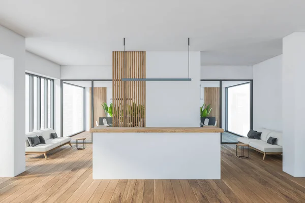 Helle Moderne Minimalistische Bürozimmereinrichtung Mit Gemütlichen Sofas Parkettboden Aus Holz — Stockfoto