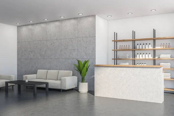 Corner of reception zone with sofa, armchair, coffee table and plant. Grey tiling wall in the left area of light interior. Wooden shelf with bathware and marble desk. Concrete floor. 3d rendering