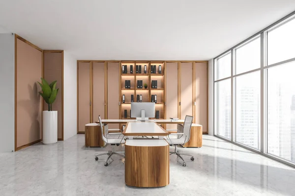 Intérieur Bureau Avec Vue Panoramique Armoire Symétrique Brun Rosé Avec — Photo