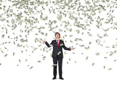 işadamı ve düşen Doları