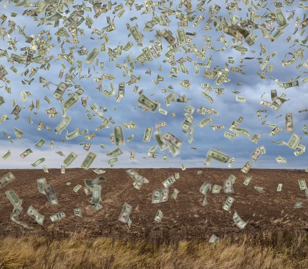 Летающие деньги на поле — стоковое фото