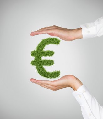 çim euro simgesi