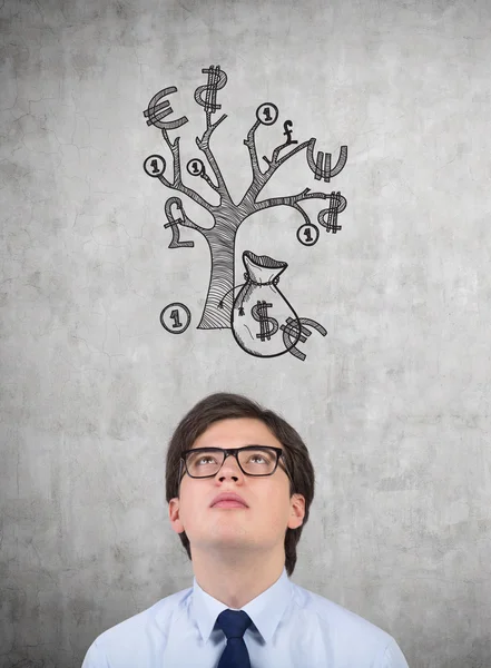 Man looking to money tree — Stock Photo, Image