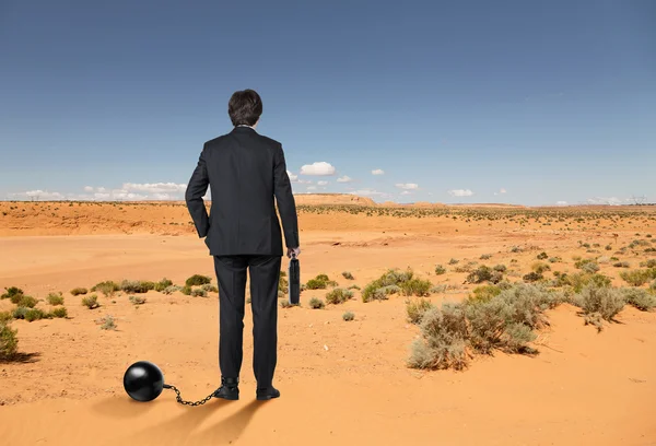 Businessman in desert — Stock Photo, Image