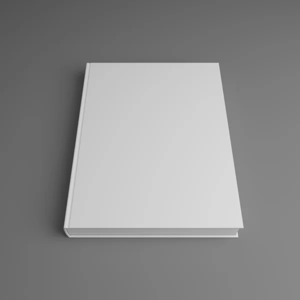 Livro em branco — Fotografia de Stock