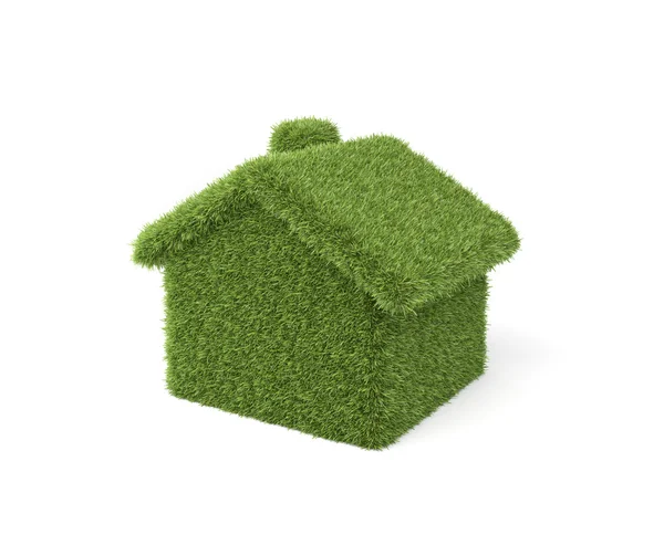 Grass house — Stock Photo, Image