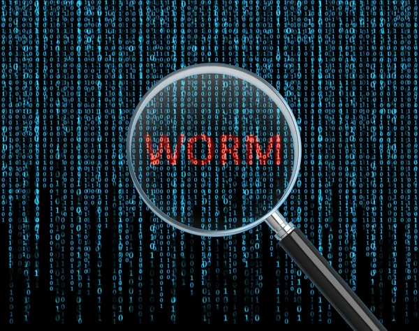 Wurm — Stockfoto