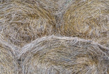 Tarım için kuru saman