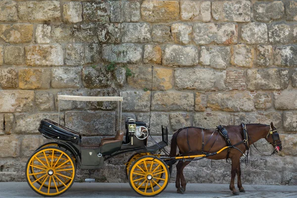 Carriage — Stock Photo, Image