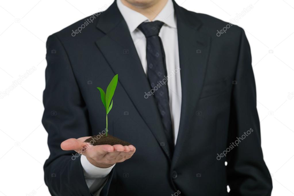 businessman holding a plant