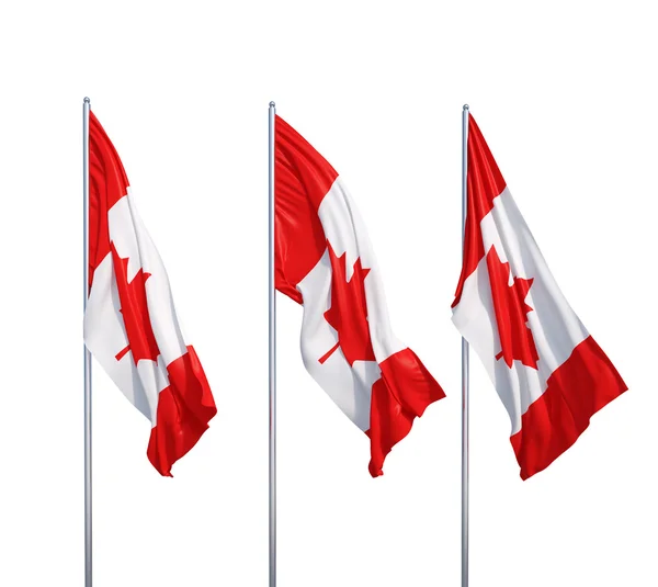 Agitando bandeiras de canadá — Fotografia de Stock