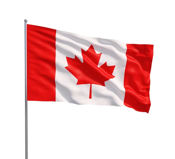 挥舞着加拿大国旗 — 图库照片