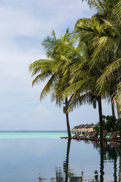 Pool and palms — Stock Photo, Image