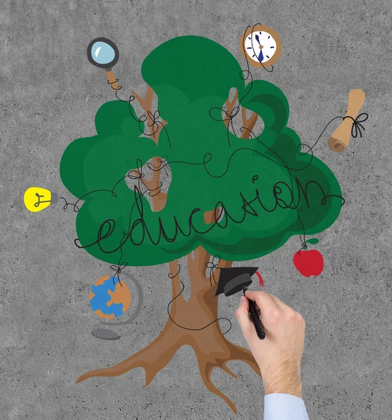 Hand drawing education tree — Stock Photo, Image
