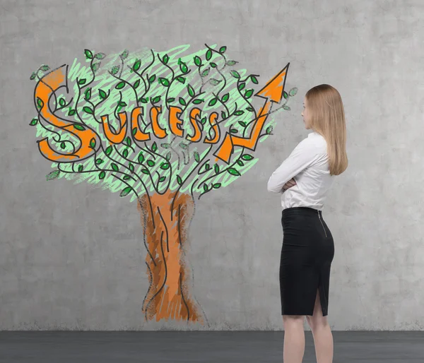 Young business woman is looking on a wall with success tree. A concept of success. — Stock Photo, Image