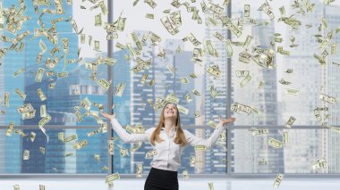 Dolar uçan arasında iş kadını