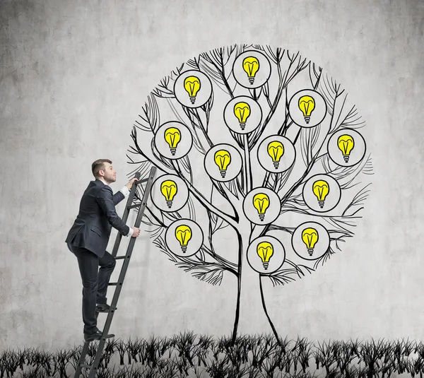 Un empresario guapo está subiendo al árbol dibujado con bombillas. Un concepto de nuevas ideas de negocio para la puesta en marcha. Fondo de hormigón . —  Fotos de Stock