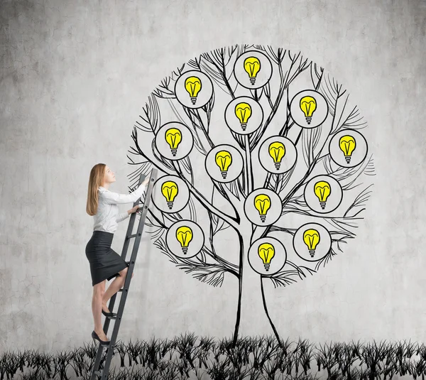 A beautiful entrepreneur is climbing to the drawn tree with light bulbs. A concept of new business ideas for start up. Concrete background. — Stok fotoğraf