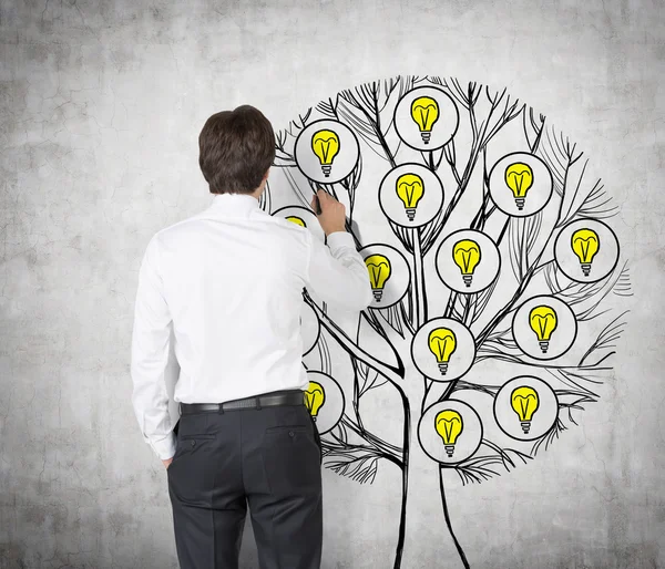 Rückansicht eines jungen Profis, der einen Baum mit Glühbirnen an die Betonwand zeichnet. Glühbirnen als Konzept für neue Geschäftsideen. — Stockfoto