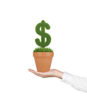 A hand holds a flowerpot with grass green dollar sign. Isolated on white background.