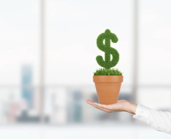 A hand holds a flowerpot with grass green dollar sign. City view in blur on the background. — 图库照片