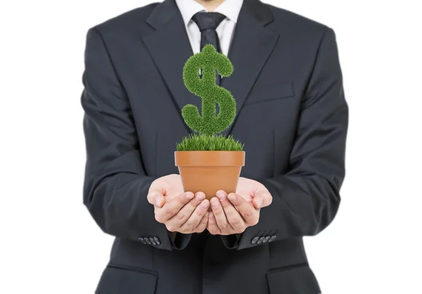 A person in formal suit holds a flowerpot with grass green dollar sign. Isolated on white background. — Stock Fotó