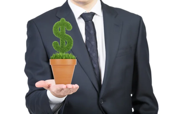 A person in formal suit holds a flowerpot with grass green dollar sign. Isolated on white background. — Stock Photo, Image