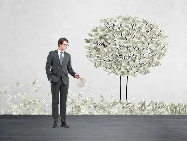 Young businessman with one hand in pocket holding a watering can pouring water on a drawn tree with dollars instead of leaves. — Zdjęcie stockowe