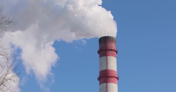Толстый белый дым выходит из дымохода тепловой электростанции и рассеивается в голубом небе. — стоковое видео