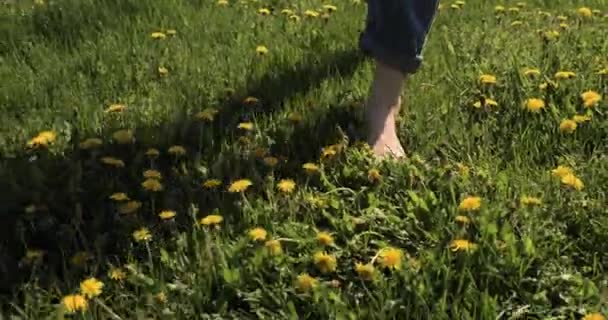 Nogi kobiet Spacerując po zielonej trawie letniej z żółtymi kwiatami. Czas letni — Wideo stockowe