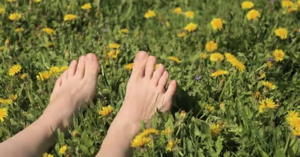 Pies de mujer sobre la hierba verde de verano con flores amarillas. Hora de verano. Concepto de libertad y disfrute de la vida. — Vídeo de stock