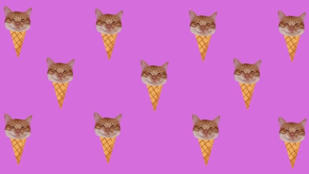 Minimal Motion Designkunst. Kitty-Eis. Trickfilmkunst. Grafische Looping-Animation. — Stockvideo