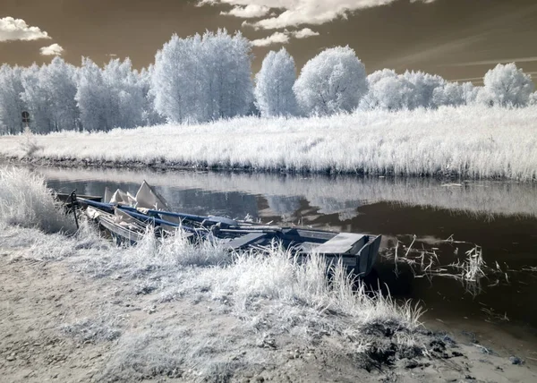 sunny summer landscape, infrared photo snowy tree amazing nature lake reflection, unusual surreal view, infrared photography