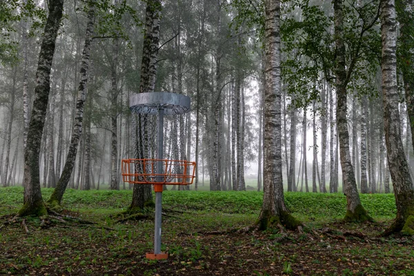 Disc Golfový Vozík Břízovém Háji Ranní Mlhavá Krajina Mlha Pozadí — Stock fotografie