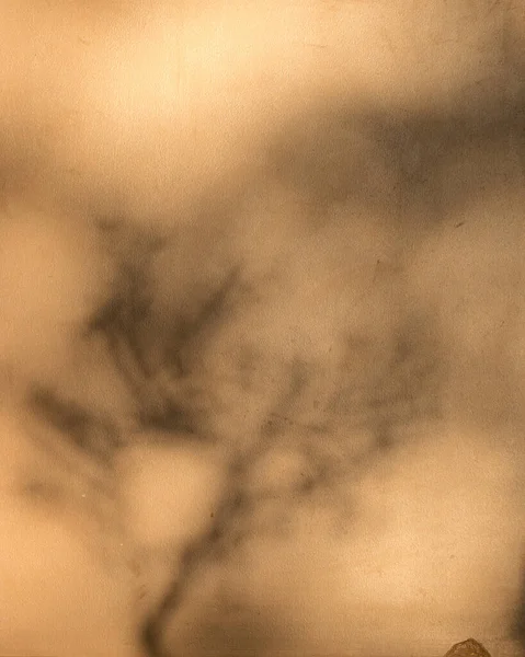 Photo Abstraite Avec Une Ombre Floue Sur Mur Adapté Pour — Photo