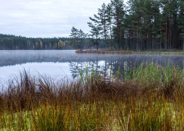 Fondo Pequeño Lago Pantano Madrugada Otoño Niebla Superficie Del Lago — Foto de Stock