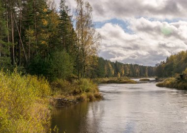 Nehir kıyısında renkli ağaçların olduğu sonbahar manzarası, anlamlı gökyüzü, Gauja nehri, Letonya