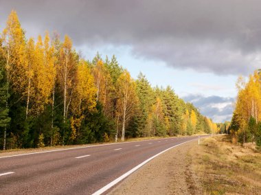 Arka planda renkli sarı ağaçların olduğu sonbahar manzarası, ön planda toprak yol, altın sonbahar, anlamlı gökyüzü, sonbahar zamanı, Letonya