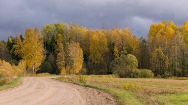 Arka planda renkli sarı ağaçların olduğu sonbahar manzarası, ön planda toprak yol, altın sonbahar, anlamlı gökyüzü, sonbahar zamanı, Letonya