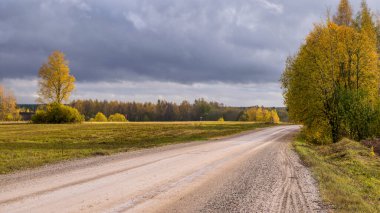 Arka planda renkli sarı ağaçların olduğu sonbahar manzarası, ön planda toprak yol, altın sonbahar, anlamlı gökyüzü, sonbahar zamanı, Letonya