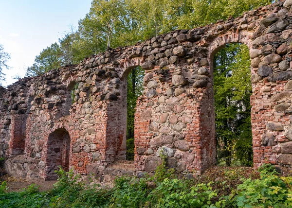 Landschaft Mit Alten Kirchenruinen Mit Büschen Und Gras Bewachsenen Ruinen — Stockfoto