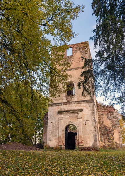 Landschaft Mit Alten Kirchenruinen Mit Büschen Und Gras Bewachsenen Ruinen — Stockfoto