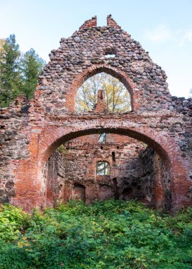 Eski kilise kalıntıları, çalılar ve çimlerle kaplanmış harabeler, sonbahar zamanı Ergeme Evanjelik Luteryan Kilisesi Letonya, Letonya 'daki en güzel kiliselerden biriydi.
